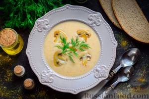 10 delicious recipes for vegetable puree soup