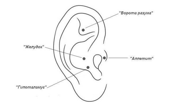 acupuncture points on the ear