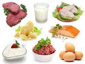 protein diet for 10 days reviews and results