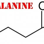 Beta-alanine. What is it, its effect on a woman’s body, why is it needed during menopause 