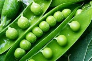 BJU of peas, its composition, calorie content and cultivation