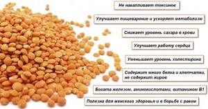 Lentils boiled in water. Calorie content, dietary fat, glycemic index, chemical composition, recipes 