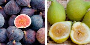 How figs are beneficial for the human body, why they are dangerous and why