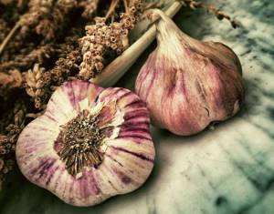 How to replace salt: garlic