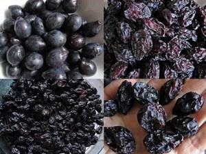Fresh prunes. Calorie content when losing weight, benefits, harm, health problems 