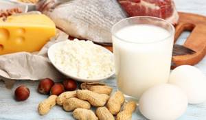 What to eat on a protein fasting day and does it work at all?
