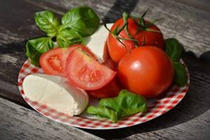 What is the tomato diet, reviews and weight loss results