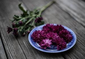 flowers in a plate