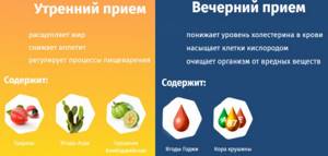 Diet drink - all about proper nutrition for health on Diet4Health.ru