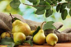 pear diet