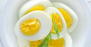 Six Egg Diet