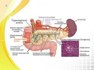 Diet after surgery to remove the gallbladder. Changes in the digestive system 