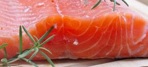 Dietary salmon is a fat-burning product