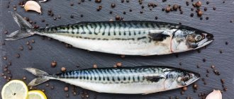 two mackerel with lemon, garlic and spices