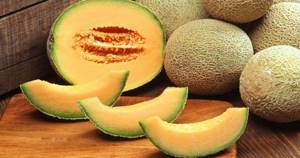 melon diet tips
