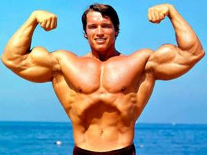 ectomorph mesomorph Arnold Schwarzenegger