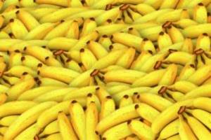 If you eat bananas every day. What happens if you eat bananas every day? 