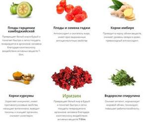 Phyto-diet for weight loss. Reviews, menu for 7 days, recipes 
