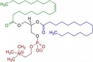 lecithin formula