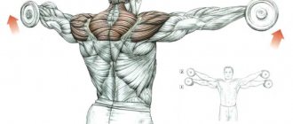 dumbbell exercises at home shoulders