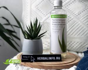 where to buy aloe from Herbalife np