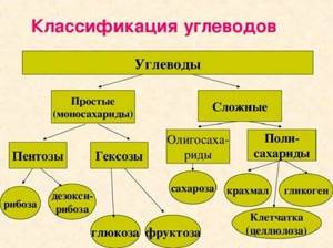 Гликоген: энергетические резервы человека - почему важно знать о них, чтобы похудеть?