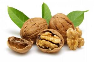 Walnut. Calorie content, benefits for the body of adults, children, how much and how to consume 