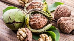 Walnut is one of the healthiest nuts