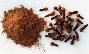 clove for weight loss reviews