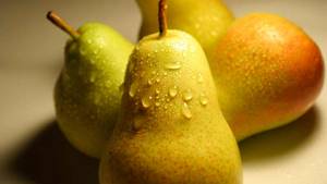 Chemical composition of pear, calorie content and its health benefits and harms