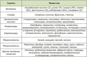 The chemical composition of rose hips is also preserved in Kholosas