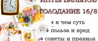 Интервальное голодание 16/8: что это, польза и вред, особенности и правила