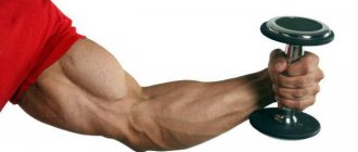 how to quickly pump up biceps