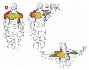 How to quickly pump up your shoulders at home