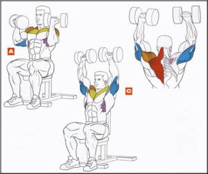 How to quickly pump up your shoulders