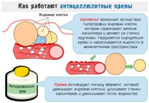 How anti-cellulite creams work - effects