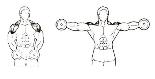 How can you pump up your shoulders at home with dumbbells quickly?