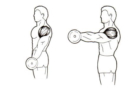 How to pump up your shoulders at home with dumbbells