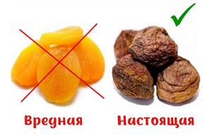 How to distinguish healthy dried apricots from harmful ones