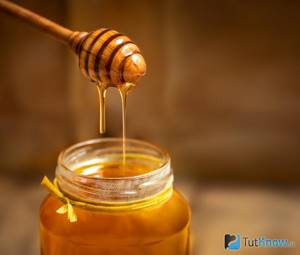 How to take honey for weight loss