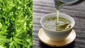 How to take parsley for weight loss: the best fat-burning recipes