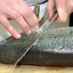 how to cut pink salmon