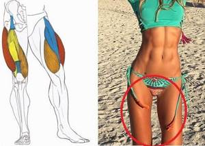 How to remove the ears on the hips and reduce the volume of the legs: top 16 exercises