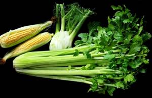 How to use celery for weight loss, features of a fat-burning diet and reviews from those who have lost weight