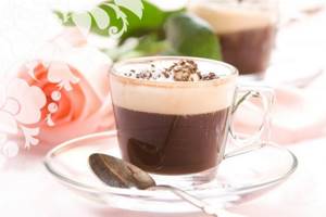 cocoa for weight loss