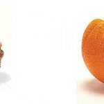 Какая калорийность апельсина?