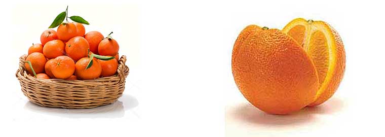 How many calories does an orange contain?
