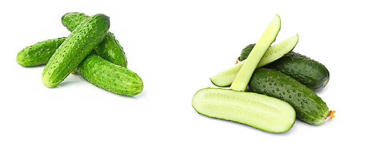 What is the calorie content of fresh cucumbers?