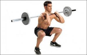 What muscles work when squats and when working with a barbell?