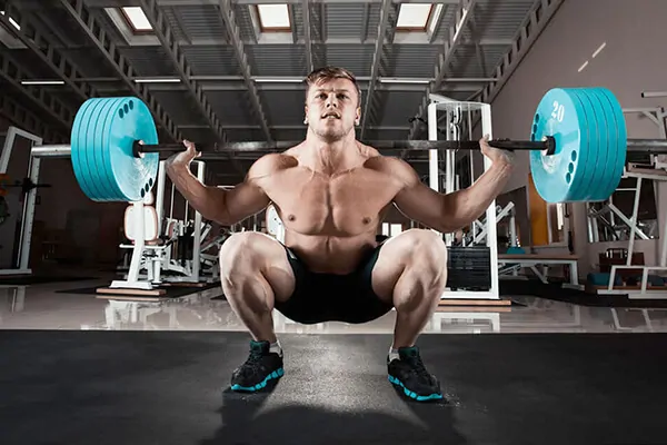 What muscles work when squats and when working with a barbell?